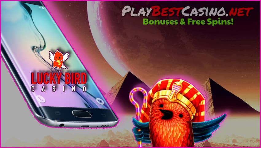 Мобильное приложение lucky Bird Casino для Android и 50 бесплатных вращений без депозита на фото.
