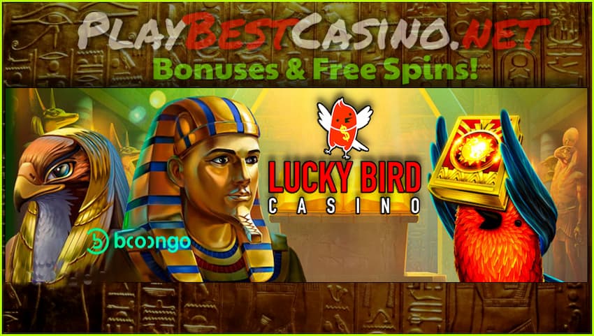 Бонус без Депозита в казино Lucky Bird для новых игроко на сайте Playbestcasino.net на фото.