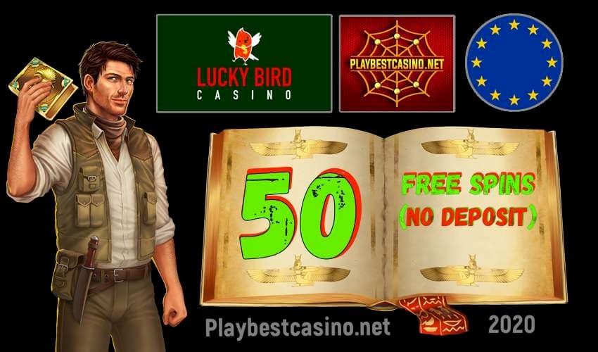 Casino Review Lucky Bird 2024 and Free spins without Deposit for Registration in the picture.