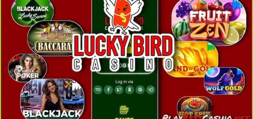 Игровые автоматы и провайдеры в казино Lucky Bird есть на фото.