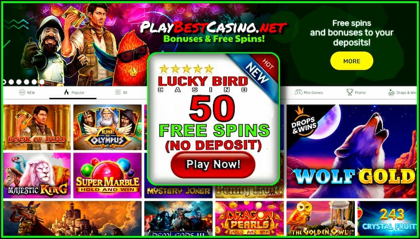 Lucky Bird Casino - Free Spins et Depositum Bonus est in photo!