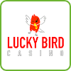 Lucky Bird Kazino png Logo PlayBestCasino.net estas sur ĉi tiu bildo.