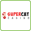 Super Cat Casino Logo png for PlayBestCasino.net is on photo.