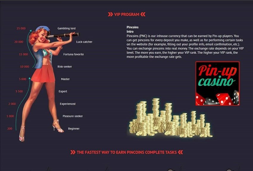 Pin Up casino. Официальный обзор 2019 и бонусная система представлена на фото.