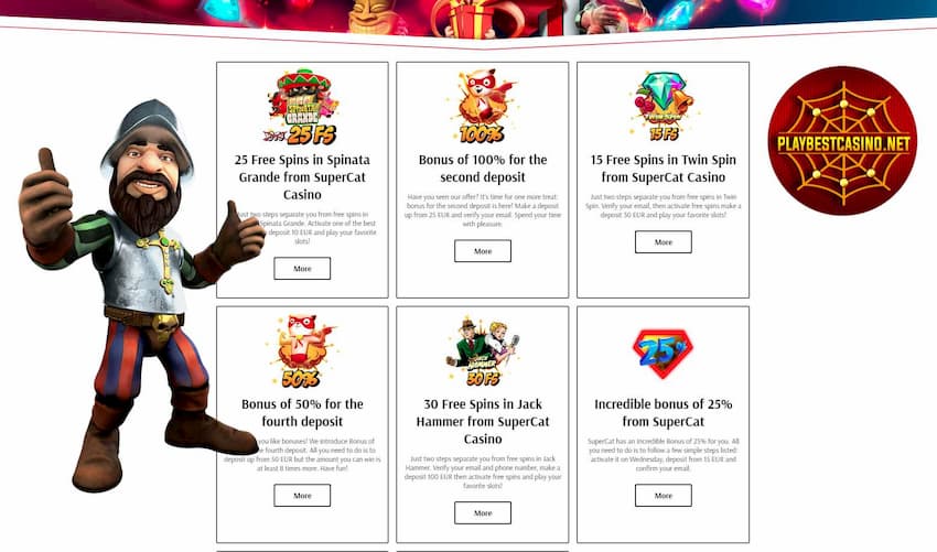 Bonuses, free spins and special offers of the Online Casino Super Cat 2024 are in this photo,