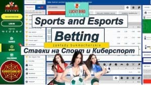 Zakłady w kasynie Lucky Bird! Jak obstawiać (2020) pokazano na zdjęciu!