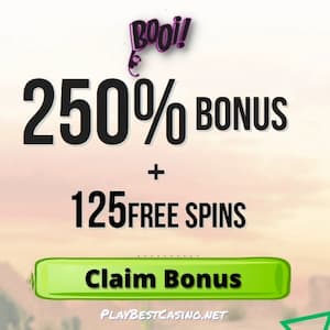 Booi Casino 250% Bonus and 125 Free Spins banner for PlayBestCasino.net is on photo.