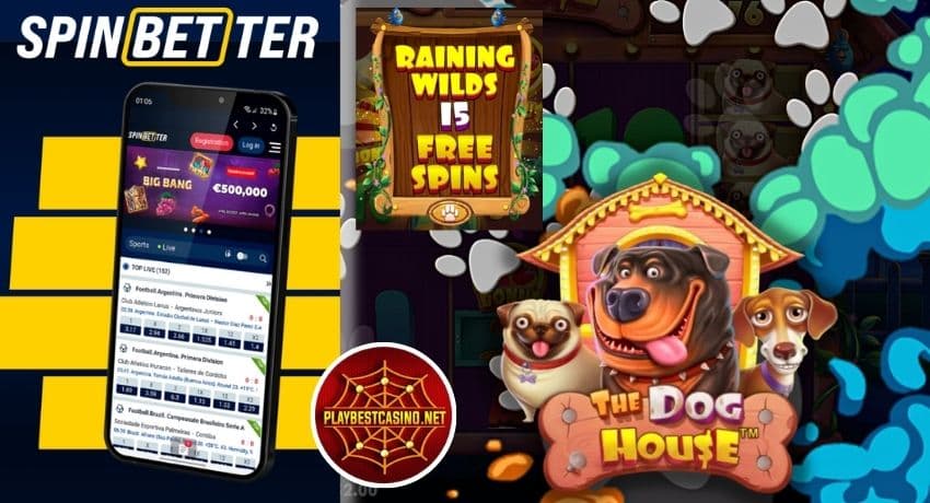 Новое крипто казино SPINBETTER предлагает безопасные и быстрые крипто транзакции для онлай игры The Dog House.