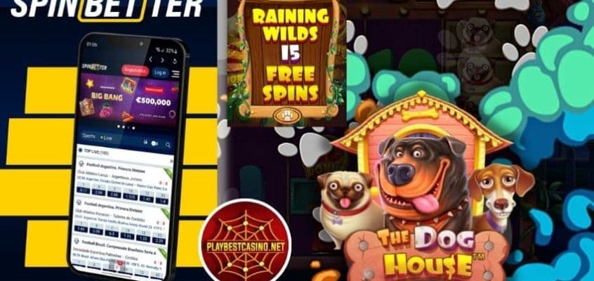 Новое крипто-казино SPINBETTER предлагает безопасные и быстрые крипто-транзакции для онлайн игры The Dog House на фото.